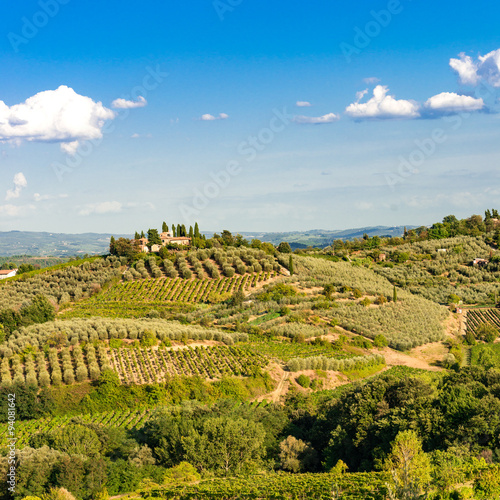 Fényképezés vineyards in Tuscany