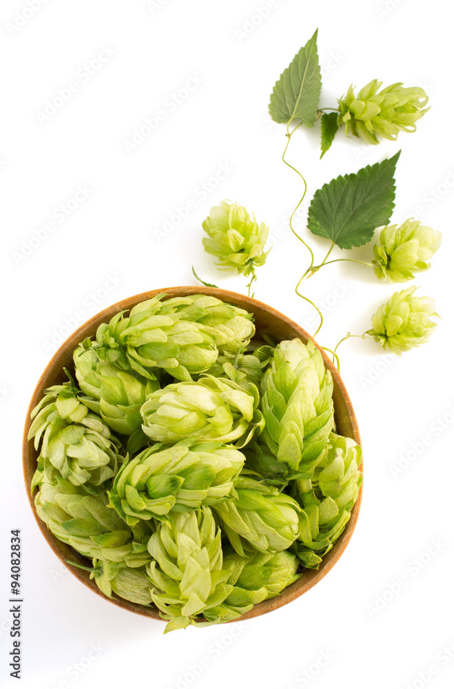 Fototapeta premium bowl full of hop cones on white