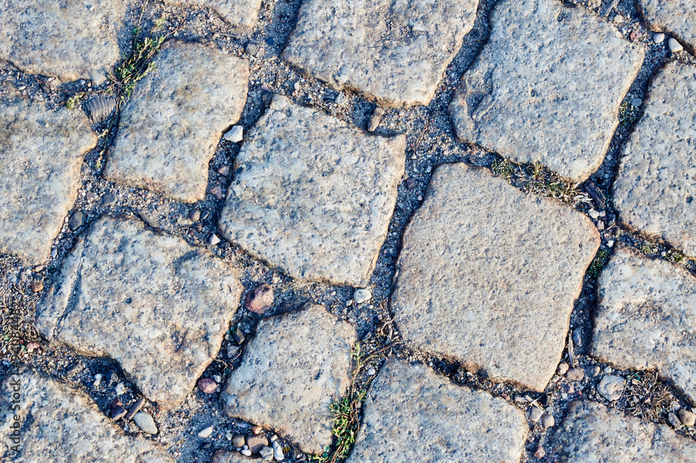 Obraz premium A granite cobbled street in Poznan .