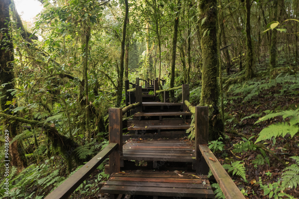 Footpath travel in Nature Trail