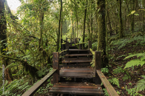 Footpath travel in Nature Trail