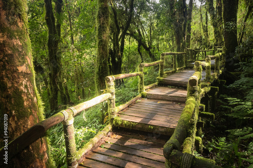 Footpath travel in Nature Trail