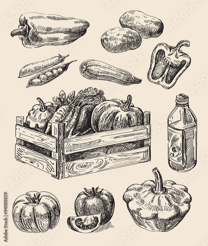hand drawn food sketch