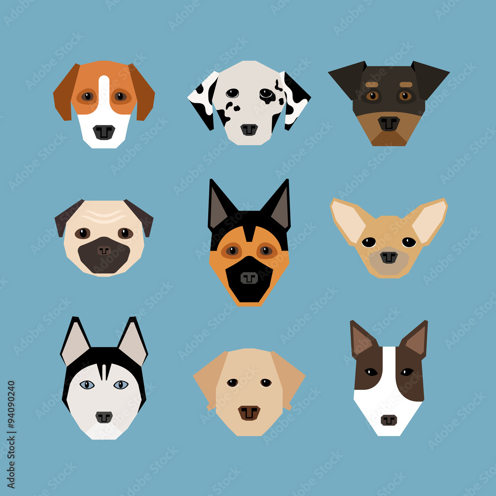 Dogs in flat style Dogs in flat style