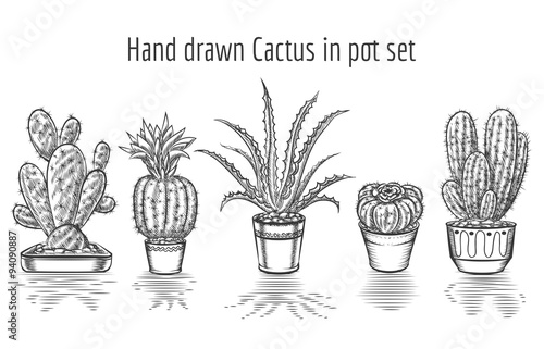 Beauty cacti. Hand drawn cactus in pot set