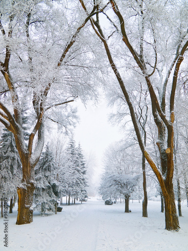 Snowbound city park walkway