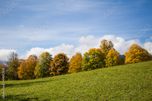 Bunte Bäume im Herbst