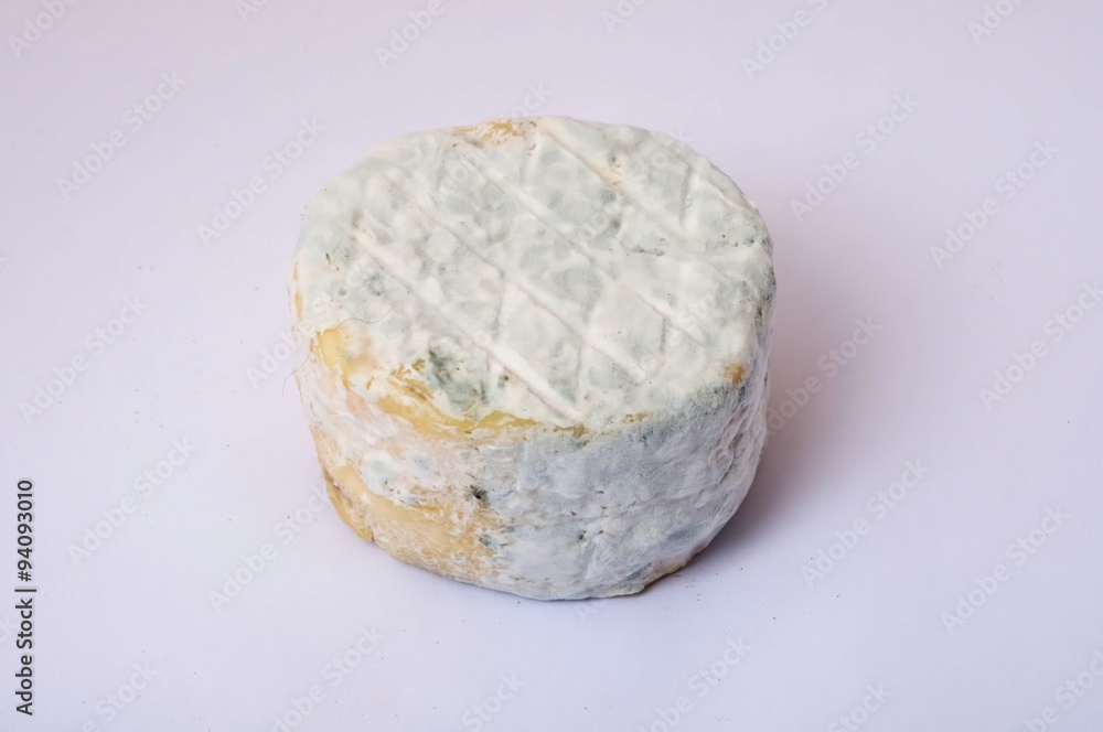 Close-up on goat cheese Close-up on goat cheese