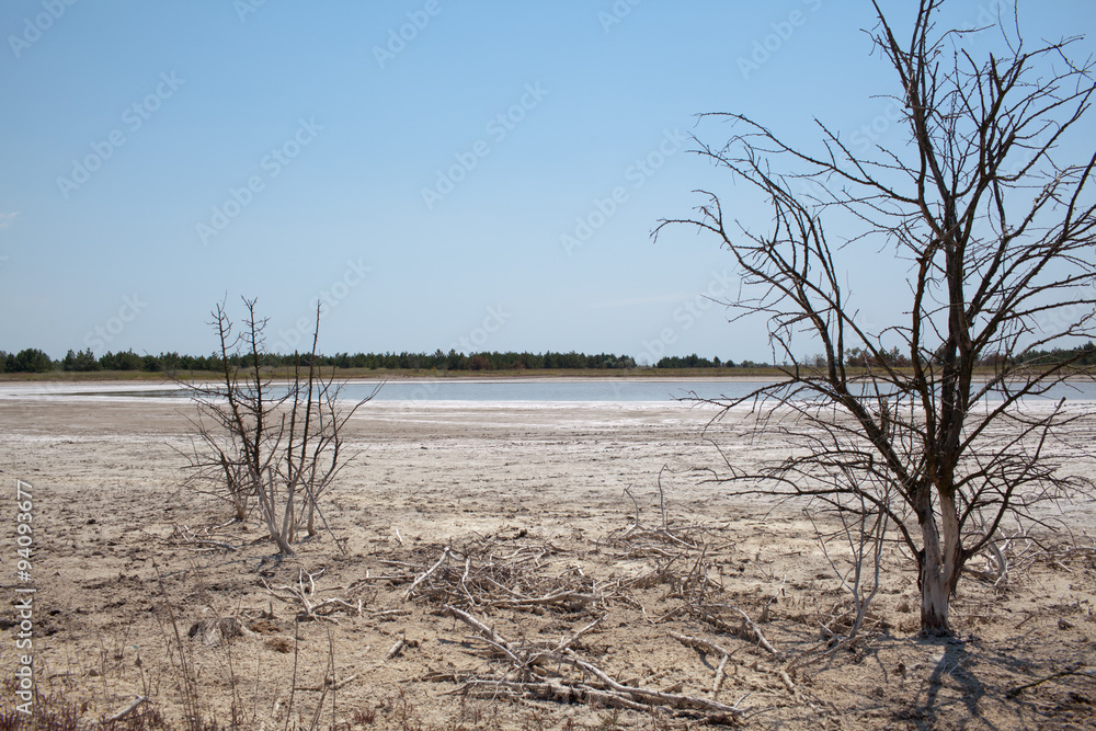Drought affected land