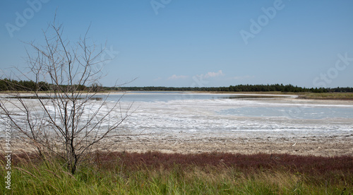 Drought affected land