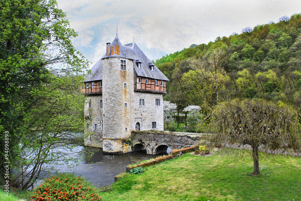 Fototapeta premium Small castle built on a river near forest