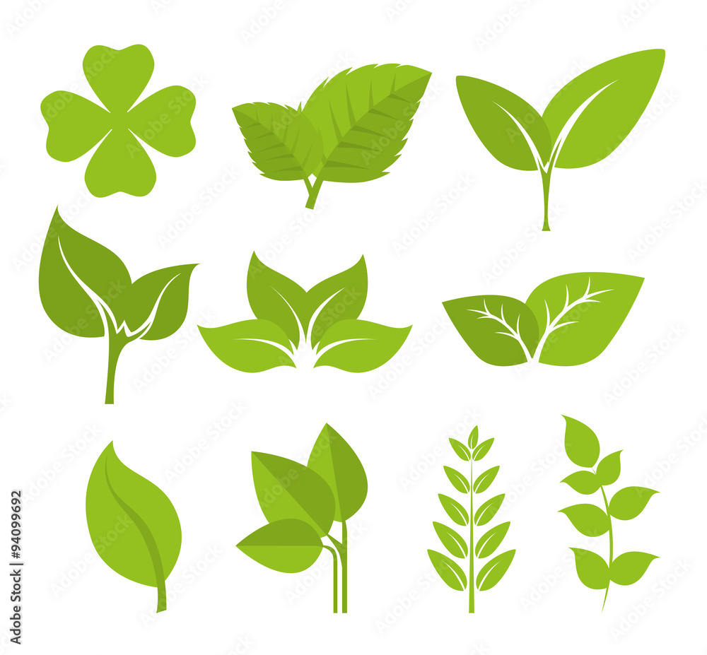 Green nature and leaves design.
