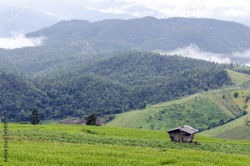 Wallpaper Mural hill country Torontodigital.ca