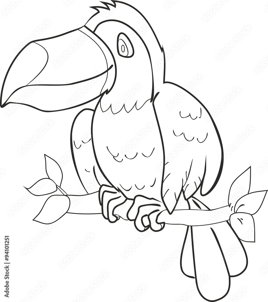 Coloring with toucan Coloring with toucan