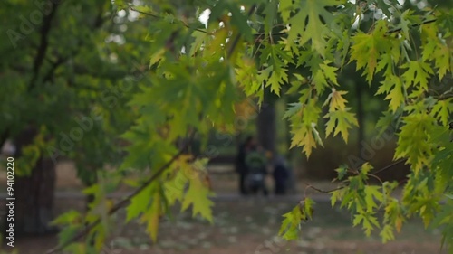 people walking in autumn park 