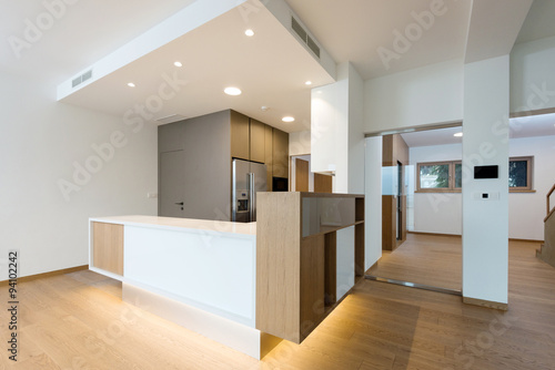 Contemporary kitchen interior