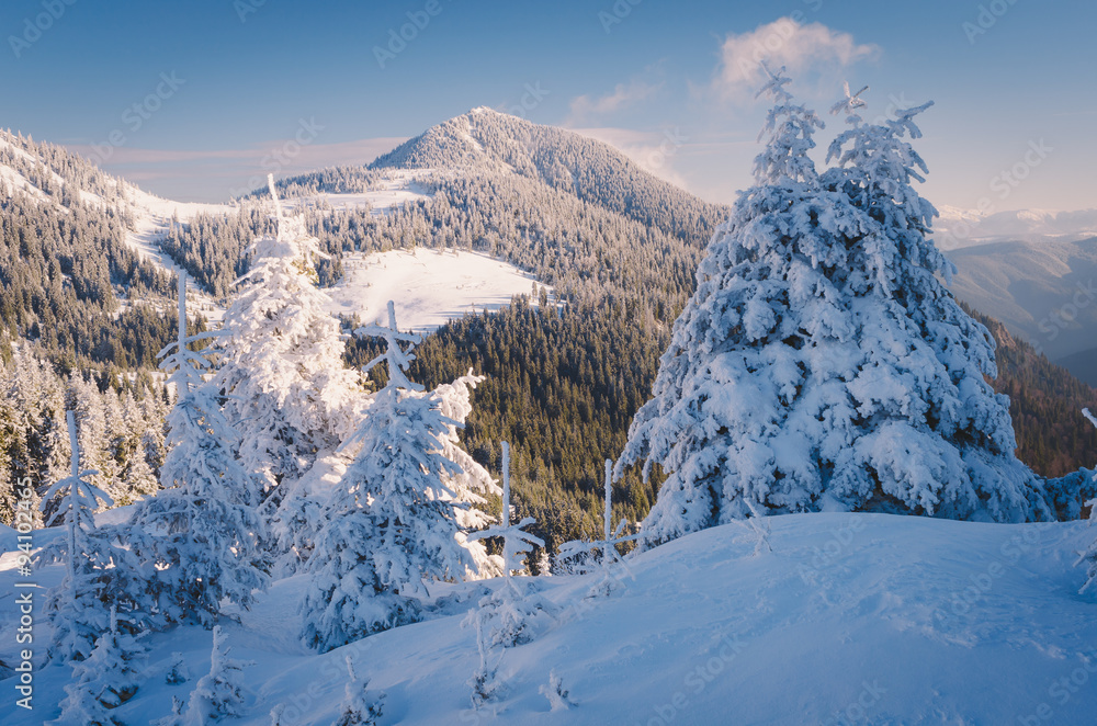 Winter landscape in the mountains