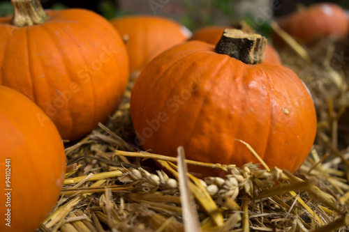 Orange Halloween Pumpkin on Hay