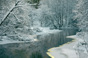 Tableau sur plexiglas Hiver Rivière bordée d'une forêt enneigée en hiver  © lyudmila15