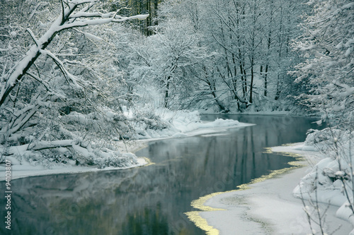 beautiful winter landscape with a snow-covered forest and the river