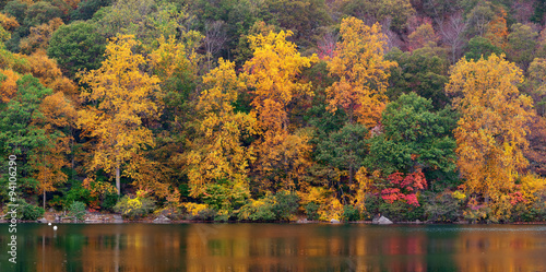 Autumn Lake #94106290