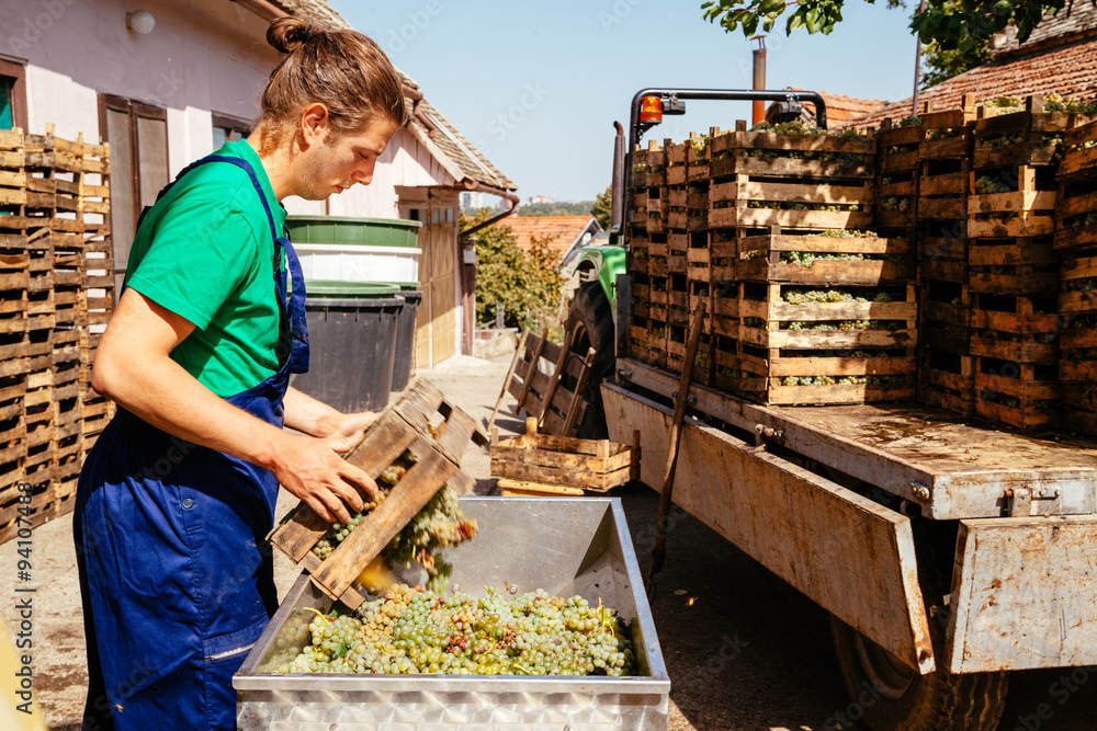 Making Wine Making Wine