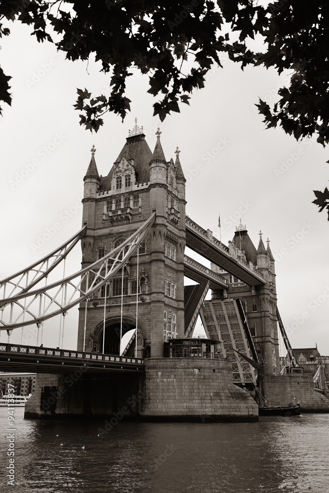 Obraz premium Tower Bridge in UK