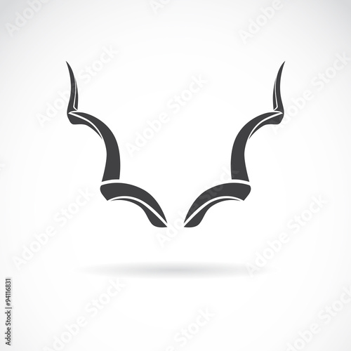 Vector image of an horns on a white background, Greater Kudu photo