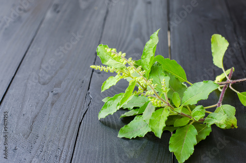 Ocimum sanctum on black wooden selective focus