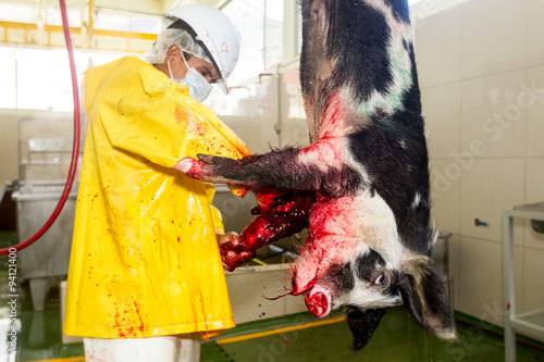 Experience the raw intensity of a slaughterhouse butcher as they skillfully and compassionately slaughter a pig,capturing the profound connection between the animal and the camera.