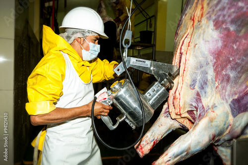 Fotografia Slaughterhouse worker skillfully operating a cattle carcass brisket opening saw