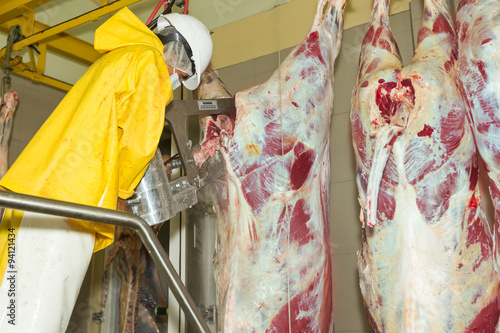 Fotografi Electric brisket opening saw utilized for splitting cattle carcasses in half at