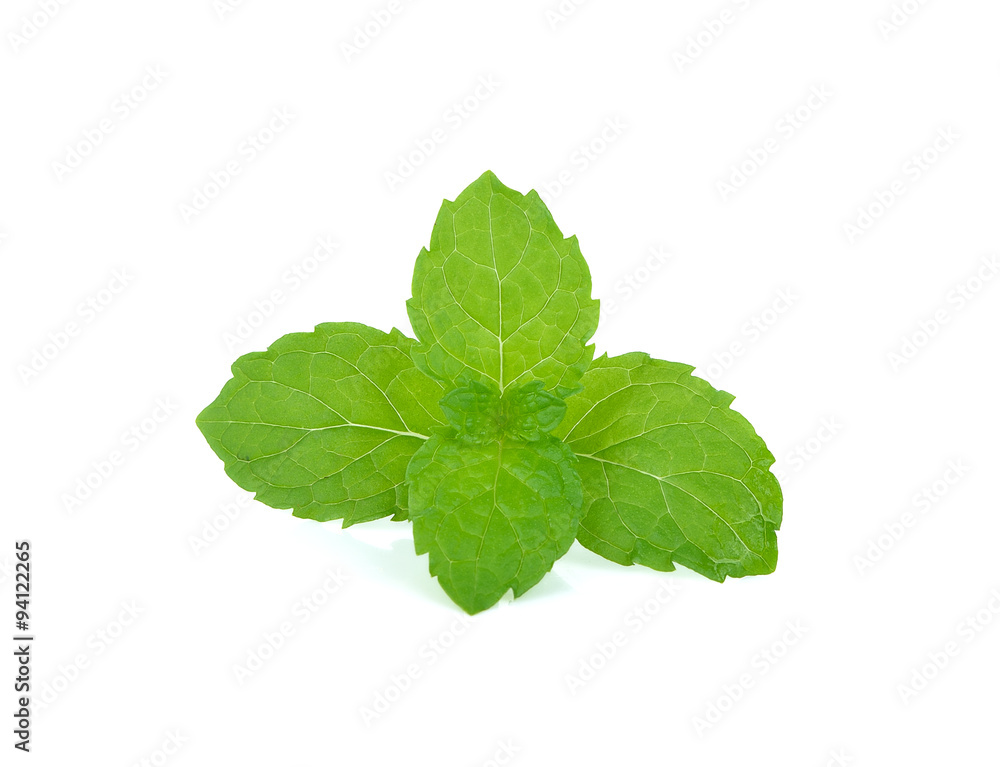 Fresh mint close up on white Fresh mint close up on white