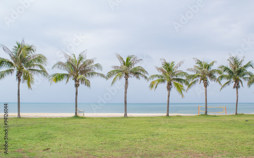 coconut palm tree © naiyanab