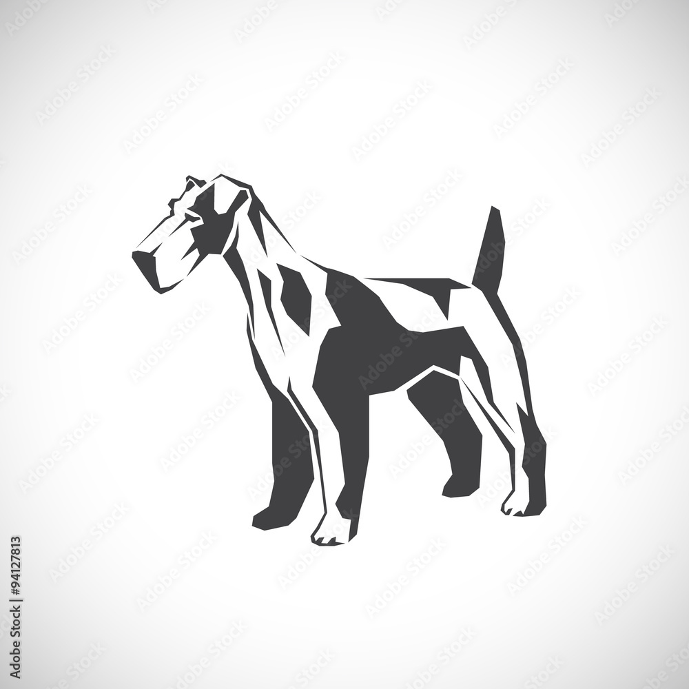 Fototapeta premium Fox Terrier. A pet.