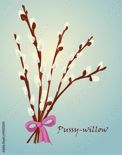 Beautiful pussy willow branches, vintage style