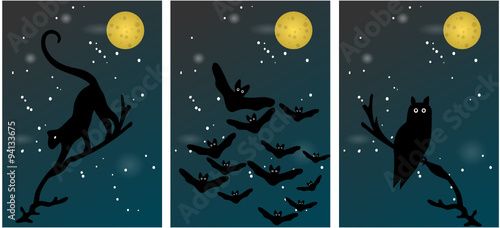 Les animaux de la nuit un soir de pleine lune