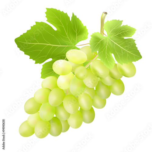 Bunch of grape. Created with gradient meshes.