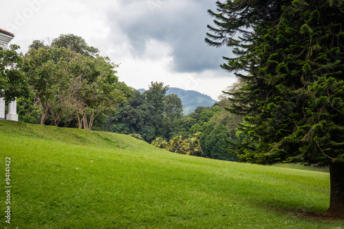 The Royal Botanic Garden.