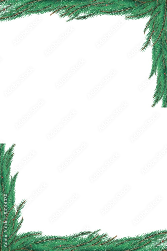Green fir tree branch frame Green fir tree branch frame