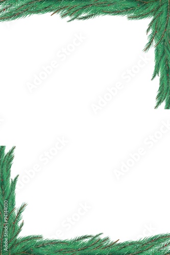 Green fir tree branch frame