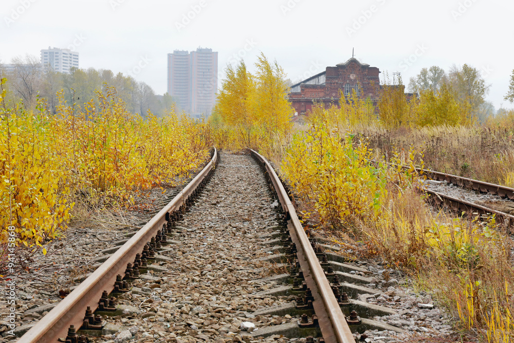 Fototapeta premium railway track