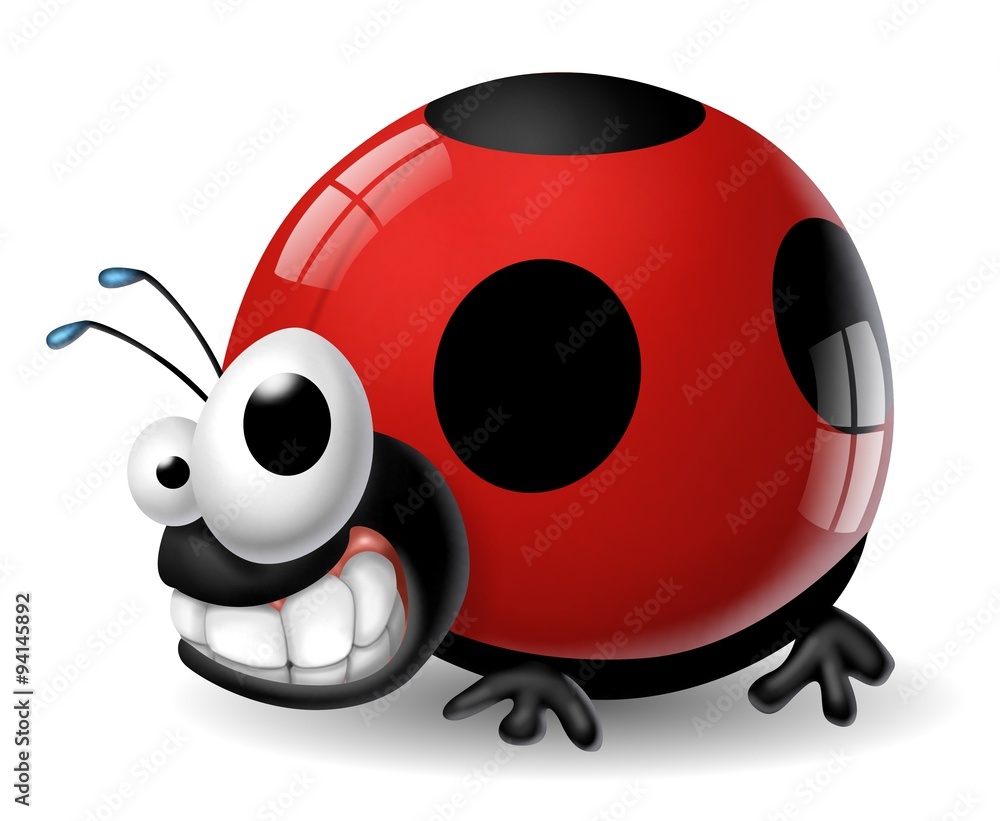 Obraz premium coccinella