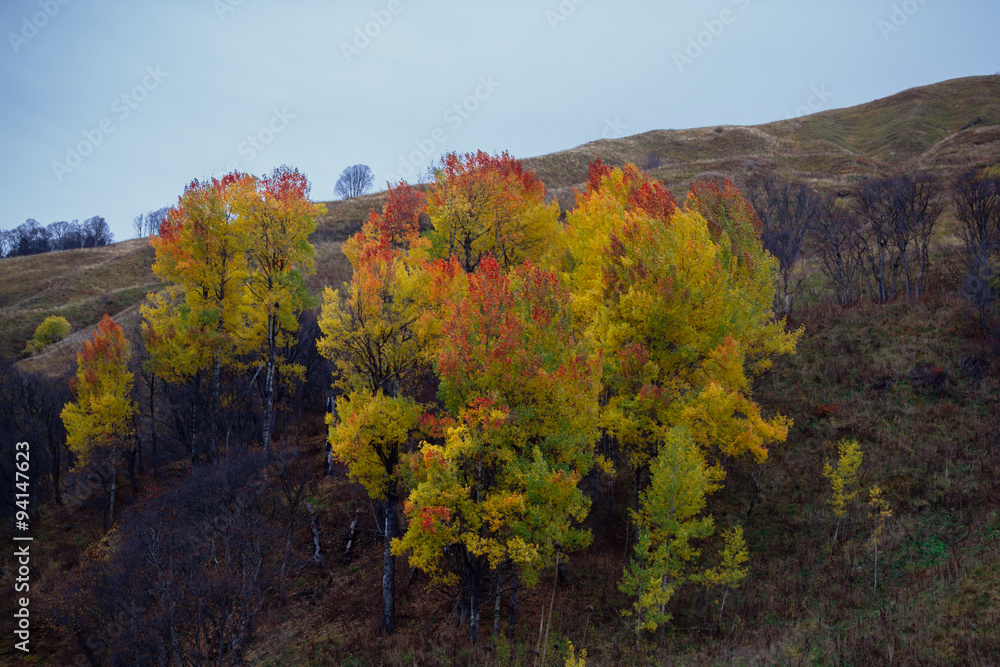 Autumn mountain landscape