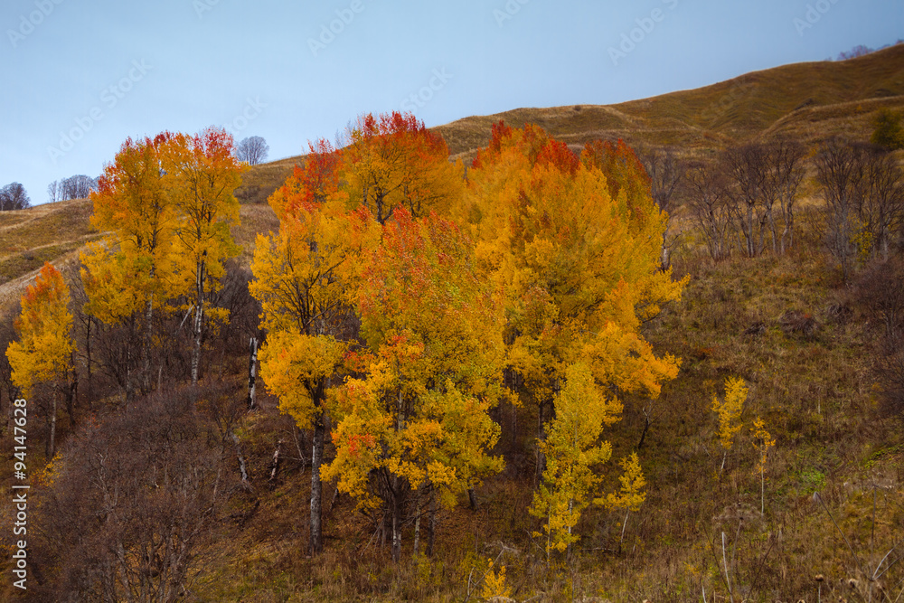 Autumn mountain landscape