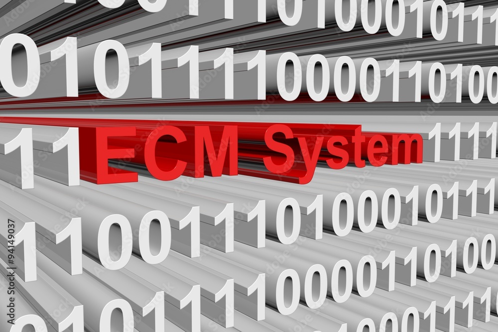 ECM System are represented in a binary code