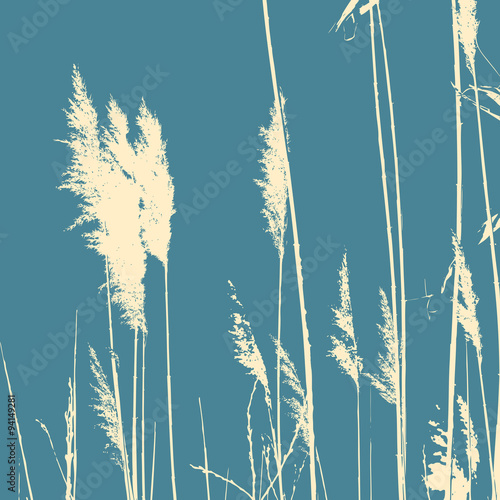 Reeds silhouette on a turquoise background. Vector. photo
