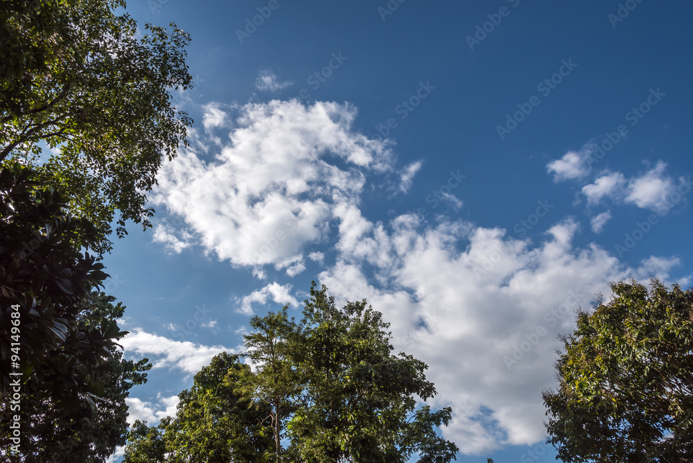 blue sky in summer