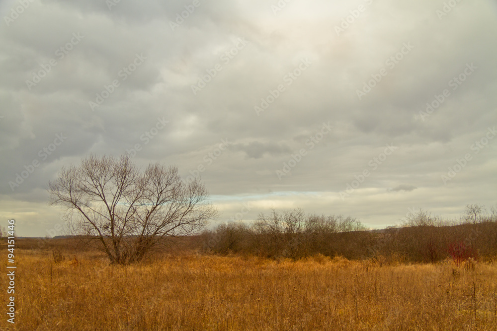 Autumn landscape Autumn landscape