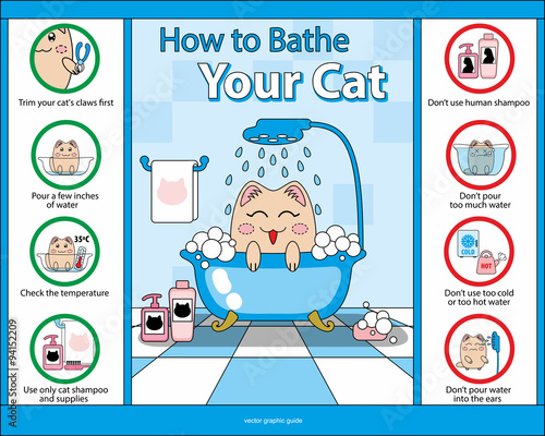 How  to Bathe Your Cat vector graphic guide